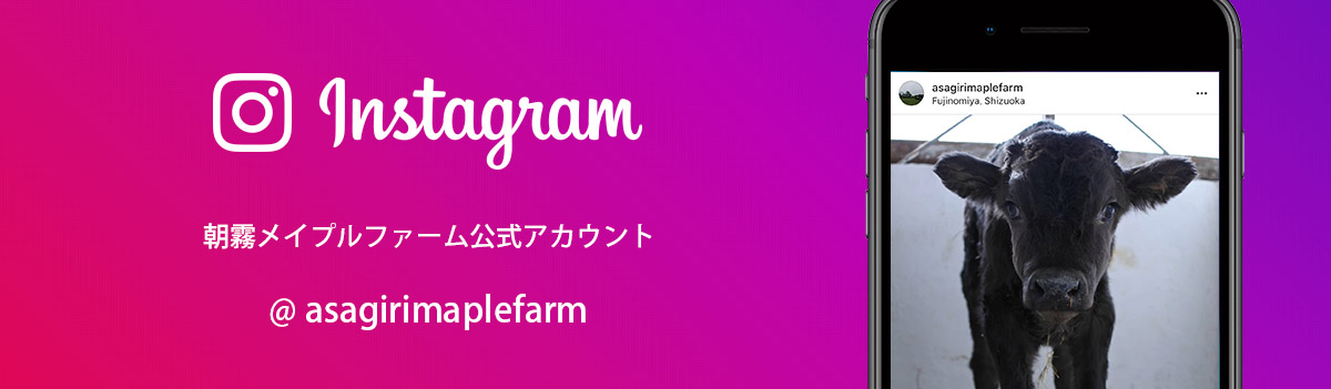 朝霧メイプルファーム公式Instagramアカウント