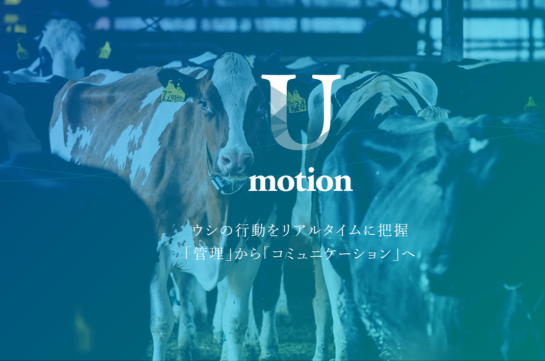ユーモーション　15ポンド　試投のみ U-motion® | 酪農 | 牛の繁殖・分娩・体調管理に